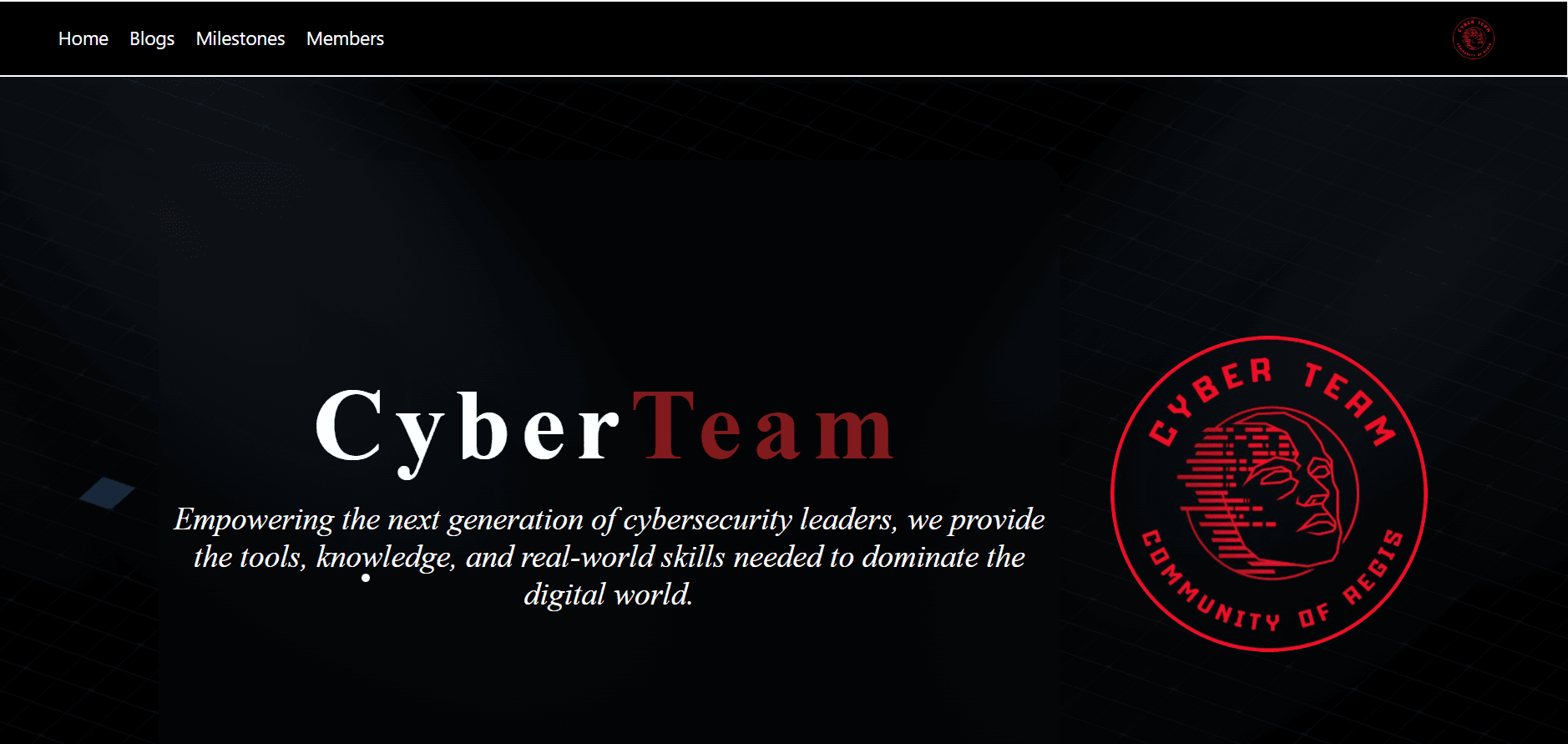Cyber Team